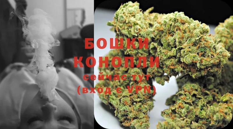 Шишки марихуана OG Kush  Волгоград 